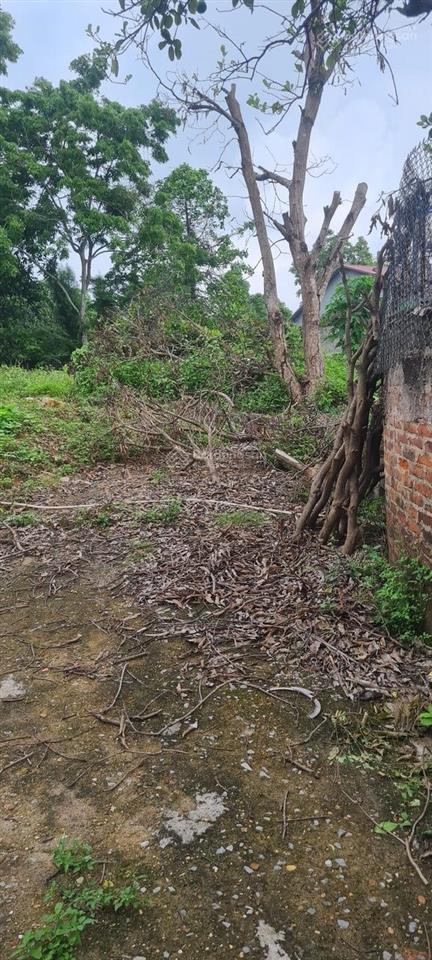 Bán đất trung tâm thị trấn kép, lạng giang bắc giang. 638m2 mt 20m. giá 3,3tỷ