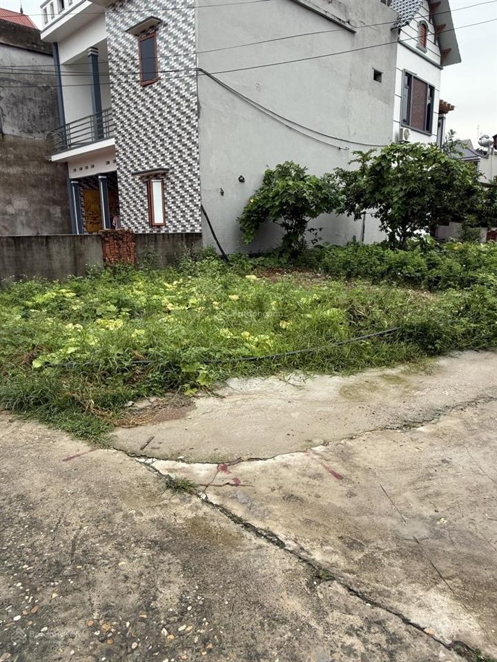 Bán đất ven công nghiệp tư mại, yên dũng, bắc giang. 126m2, mt7m. giá 1,4 tỷ