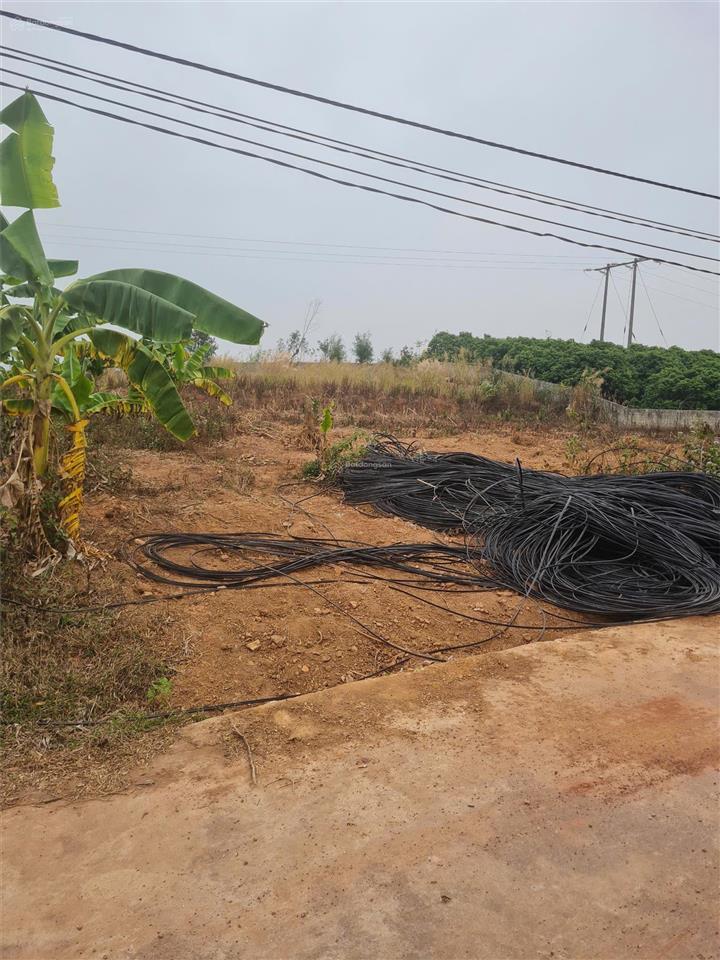 Bán đất phường trù hựu, thị xã chũ, tỉnh bắc giang. 3714m2 mặt tiền 85m. đường 6m. giá 2.1 tỷ