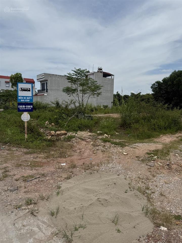 Bán đất mặt đường 298  cao xá, tân yên, bắc giang. 115m2  mt 5m. kd tốt. giá 3,4 tỷ