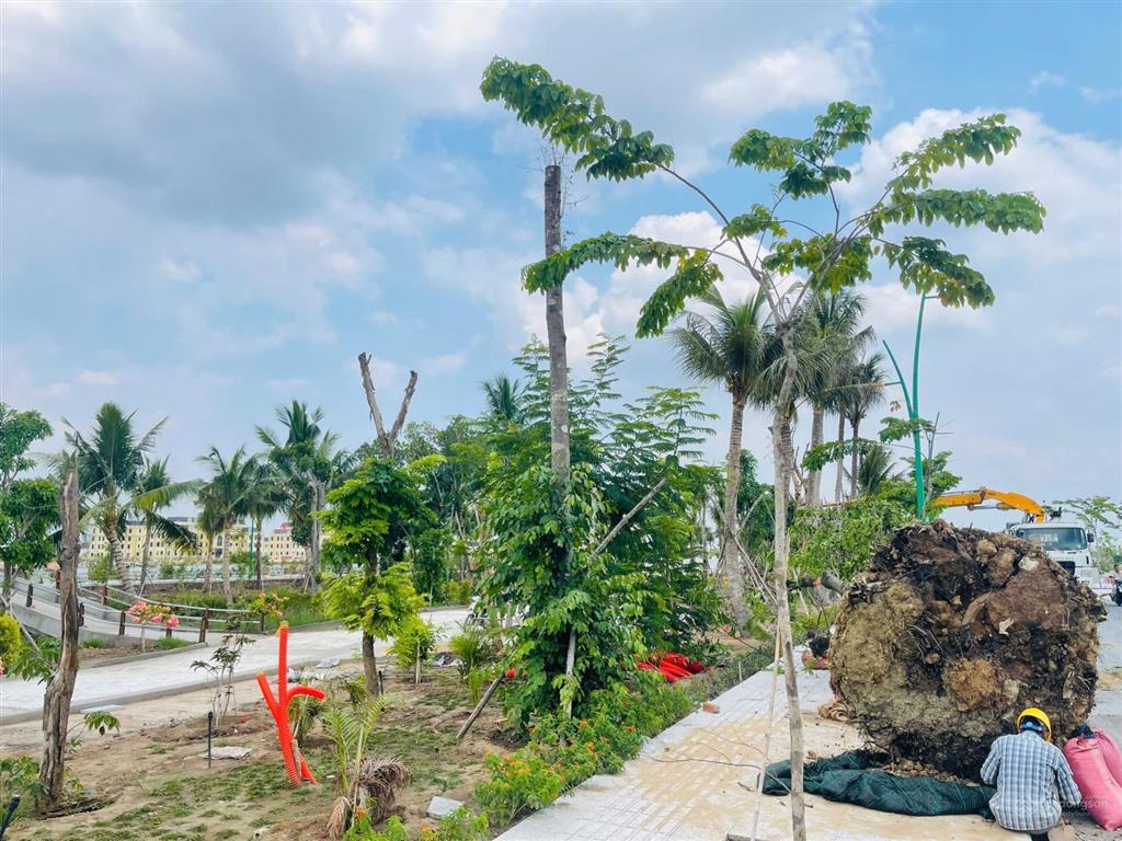 Cần bán đất trung tâm thương mại hành chính thủ thừa, giá chỉ 18 triệu/m², shr