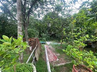 Chính chủ gửi bán mảnh đất tại phụng châu. ô tô đỗ cửa, gần chợ, trường, ubnd... alo e giang