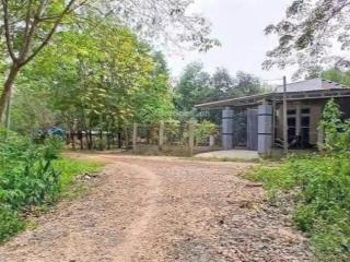 Bán gấp 1 mẫu đất cao su lớn có nhà sẵn 300m2 thổ giá 2tỷ950tr. sổ sẵn
