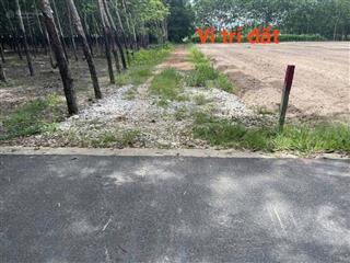Chủ gửi bán gấp lô đất 1800m2 (42x42m) dầu tiếng, tphcm giá 950 triệu