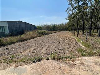 Chủ ngộp bán gấp lô đất 10x80m có 100m2 thổ ngay trung tâm định an cũ, giá 950triệu