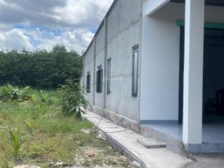 Chủ gửi bán gấp 4000m2 có nhà + vườn sầu riêng giá 1,45 tỷ, sổ hồng riêng