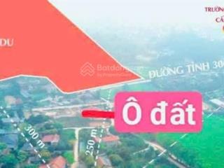 Bán đất tại tử du, lập thạch, vĩnh phúc