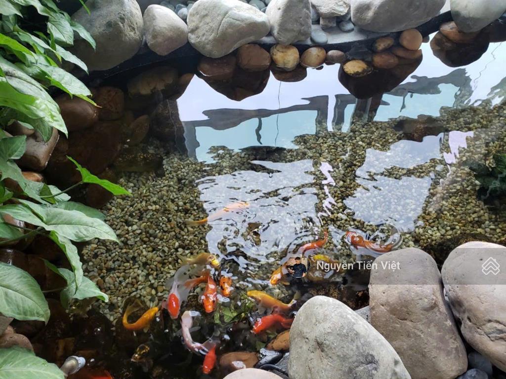 ( mới ) cập nhật quỹ căn hộ tk 234pn mới nhất chung cư the park home thành thái.  0981 343 ***