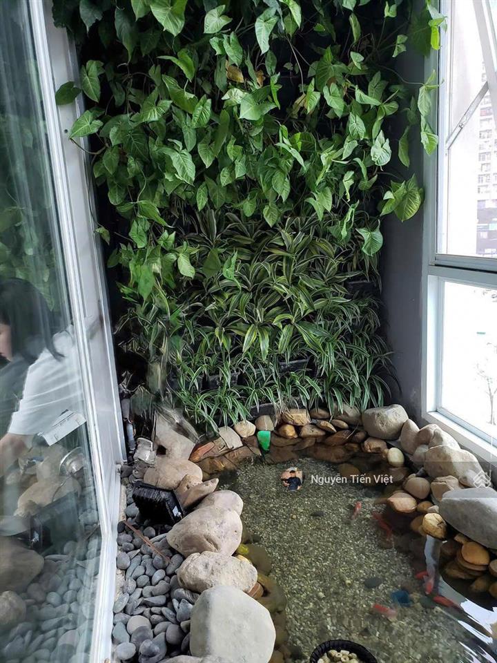 ( mới ) cập nhật quỹ căn hộ tk 234pn mới nhất chung cư the park home thành thái.  0981 343 ***