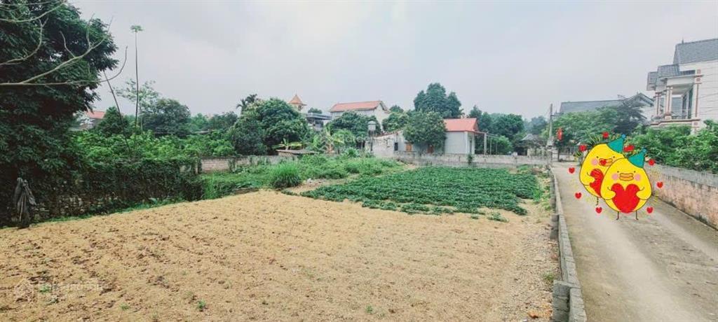 Hàng phân lô nhanh tay thì còn 726m2 có 300m2 thổ cư tại hồ văn sơn, nam phương tiến