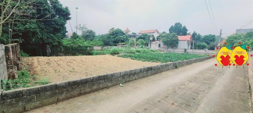 Hàng phân lô nhanh tay thì còn 726m2 có 300m2 thổ cư tại hồ văn sơn, nam phương tiến