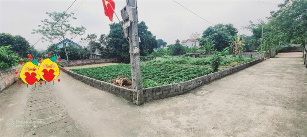Hàng phân lô nhanh tay thì còn 726m2 có 300m2 thổ cư tại hồ văn sơn, nam phương tiến
