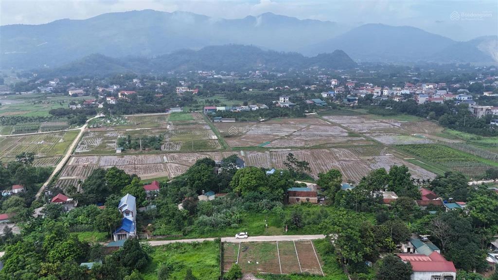 Nhỉnh 3tỷ 243m2 122m2 thổ cư trục chính liên thôn tại xã xuân mai hà nội
