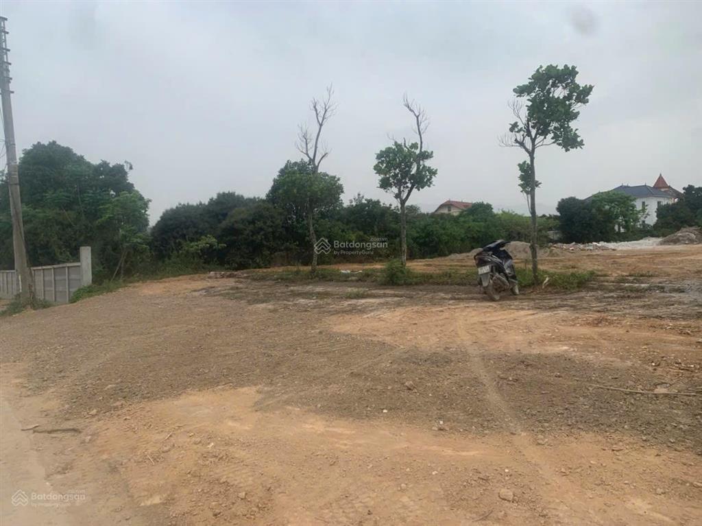 Nhỉnh 5tỷ 265m2 100 thổ cư trục chính liên xã tại xã xuân mai
