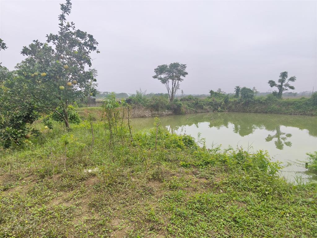 6.5 tỷ 2500m2 300m2 thổ cư view triệu usd tại xã xuân mai, thành phố hà nội