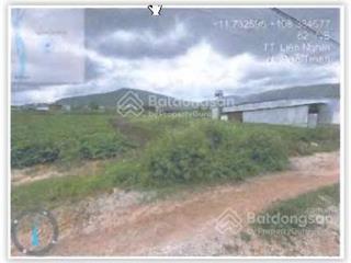 Công ty đấu giá hợp danh đông nam, thông báo đấu giá tài sản