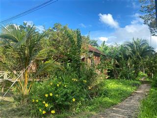 Bán bunggalow biển ông lang cửa dương, phú quốc 1500m2 sổ hiện đường kinh doanh ngay