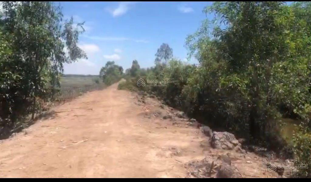 Gia đình cần bán 7 công đất trồng khóm ấp mỹ lộc, xã thạnh mỹ, h. tân phước, tg