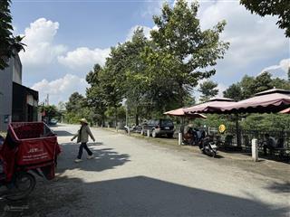 Chủ bán gấp giảm sốc 1 tỷ! đất trục chính hẻm 114 ngô chí quốc p. tam bình, tp. thủ đức