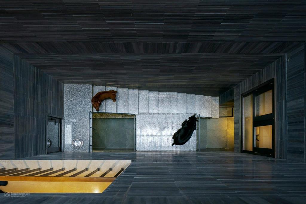 Góc 2mt trần hưng đạo q1 | 8x18m | hầm 6 tầng + thang máy | thuê 200tr/tháng |