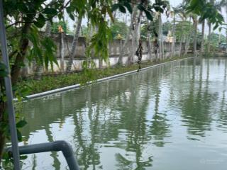 Mt hồ văn tắng/ 200x55m cn 10.700m2/ giá bán 50 tỷ/ hiện trạng nhà câp 4/ giá siêu hiếm