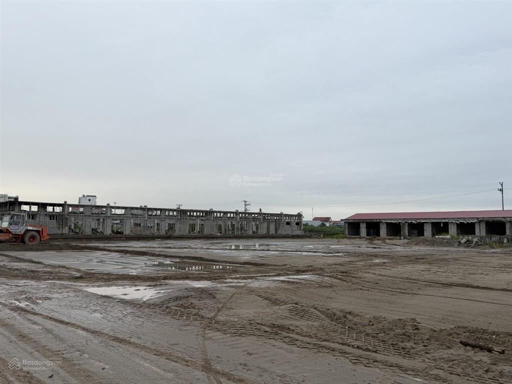 Dòng tiền khủng! bán 245m lô góc mặt chợ đông tảo mới. gần cầu mễ sở, cách ecopark 8km