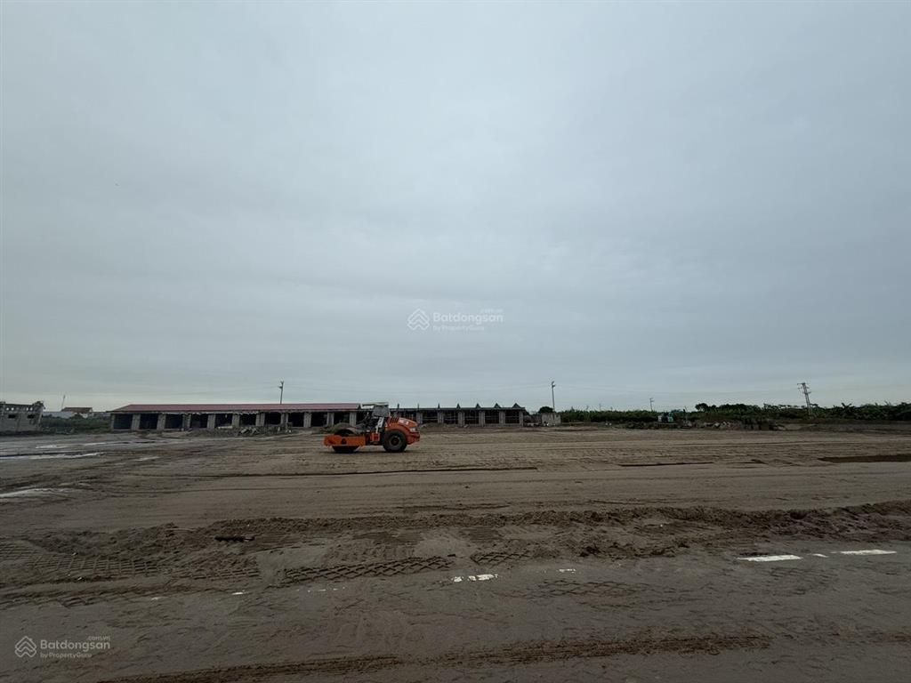 Dòng tiền khủng! bán 245m lô góc mặt chợ đông tảo mới. gần cầu mễ sở, cách ecopark 8km