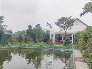 Hơn 10tr/m2. bán gần 1300m2 đất (tặng biệt thự) tại đông tảo khoái châu. đường 2 ô tô tránh