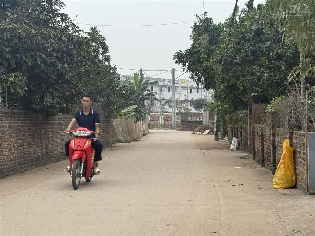 Phù hợp đầu cơ! bán 1600m2 (chia được 18 lô), đường 6m, mặt tiền 40m đông tảo khoái châu