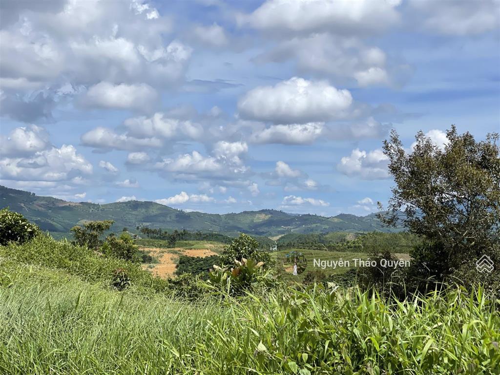 Bán đất view đồi bát úp khu phạm hồng thái  đại lào  tp. bảo lộc