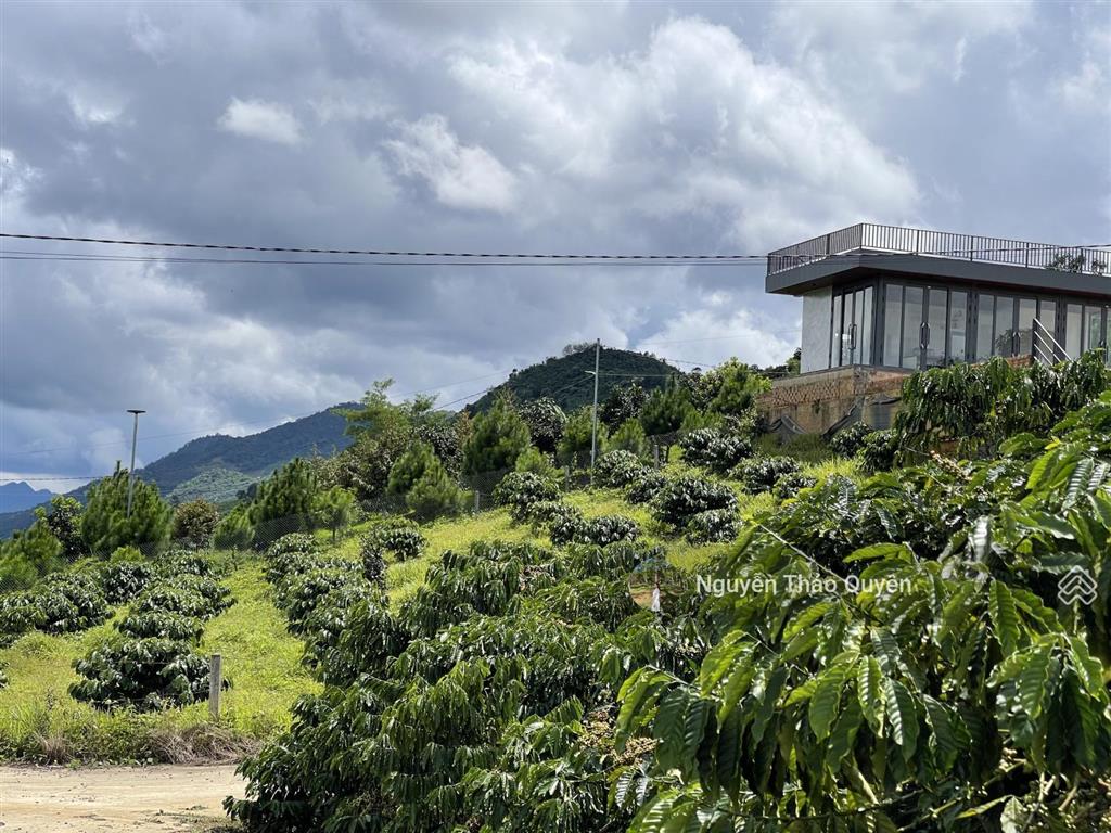 Bán đất view đồi bát úp khu phạm hồng thái  đại lào  tp. bảo lộc