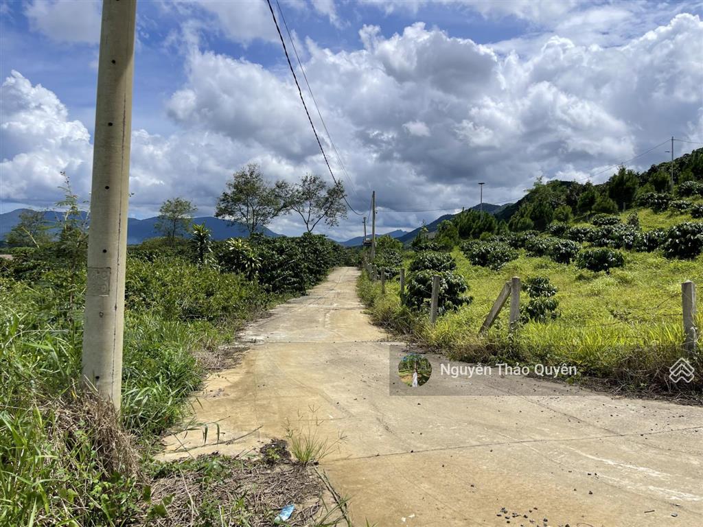 Bán đất view đồi bát úp khu phạm hồng thái  đại lào  tp. bảo lộc