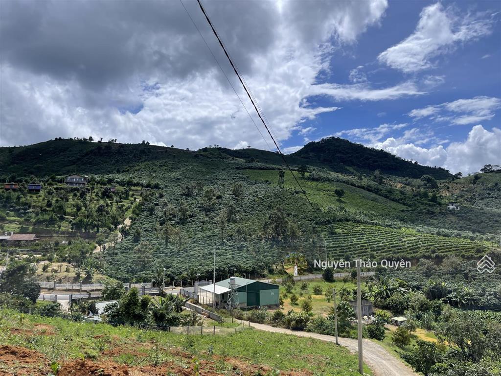 Bán đất view đồi bát úp khu phạm hồng thái  đại lào  tp. bảo lộc