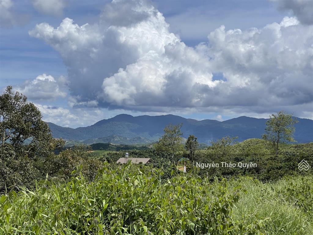 Bán đất view đồi bát úp khu phạm hồng thái  đại lào  tp. bảo lộc