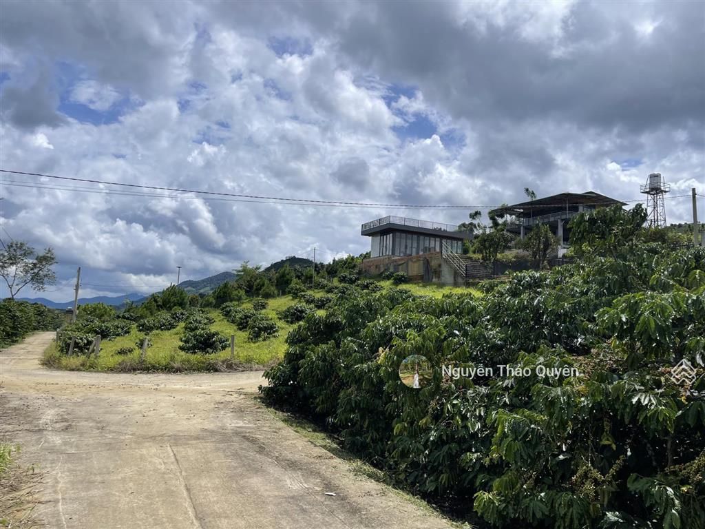 Bán đất view đồi bát úp khu phạm hồng thái  đại lào  tp. bảo lộc