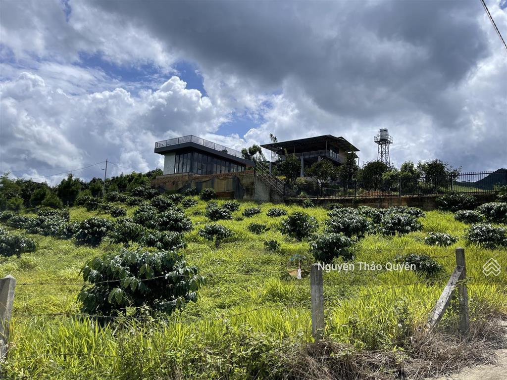 Bán đất view đồi bát úp khu phạm hồng thái  đại lào  tp. bảo lộc