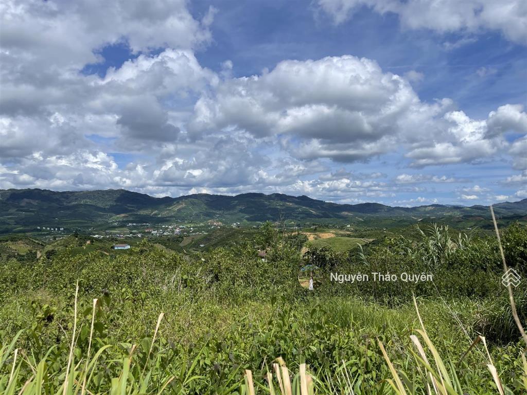 Bán đất view đồi bát úp khu phạm hồng thái  đại lào  tp. bảo lộc