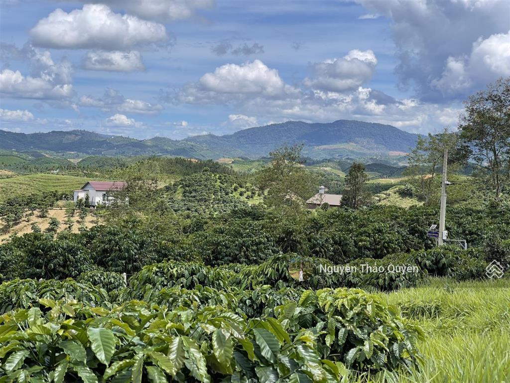 Bán đất view đồi bát úp khu phạm hồng thái  đại lào  tp. bảo lộc