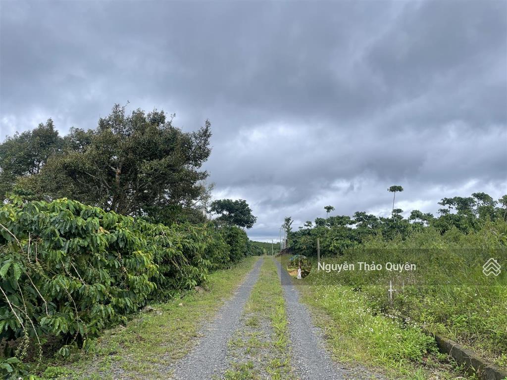 Bán 528m2 sẵn 200m2 thổ cư đất khu phân lô bàn cờ lê thị riêng  phường 3  bảo lộc