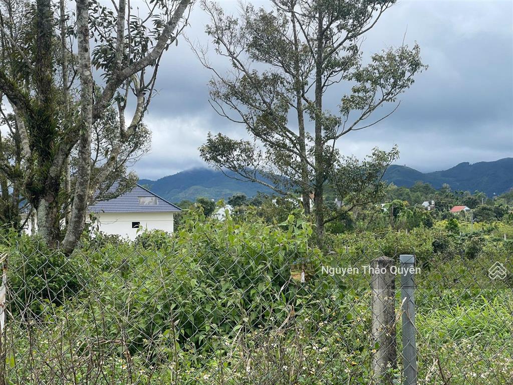 Bán 528m2 sẵn 200m2 thổ cư đất khu phân lô bàn cờ lê thị riêng  phường 3  bảo lộc