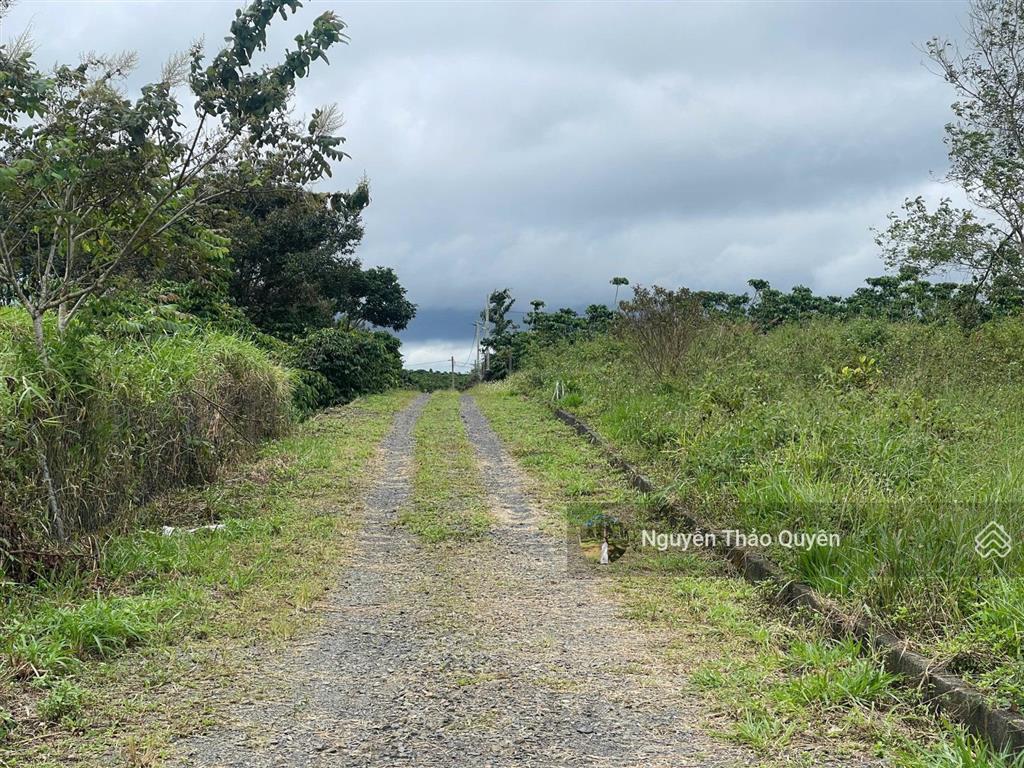 Bán 528m2 sẵn 200m2 thổ cư đất khu phân lô bàn cờ lê thị riêng  phường 3  bảo lộc