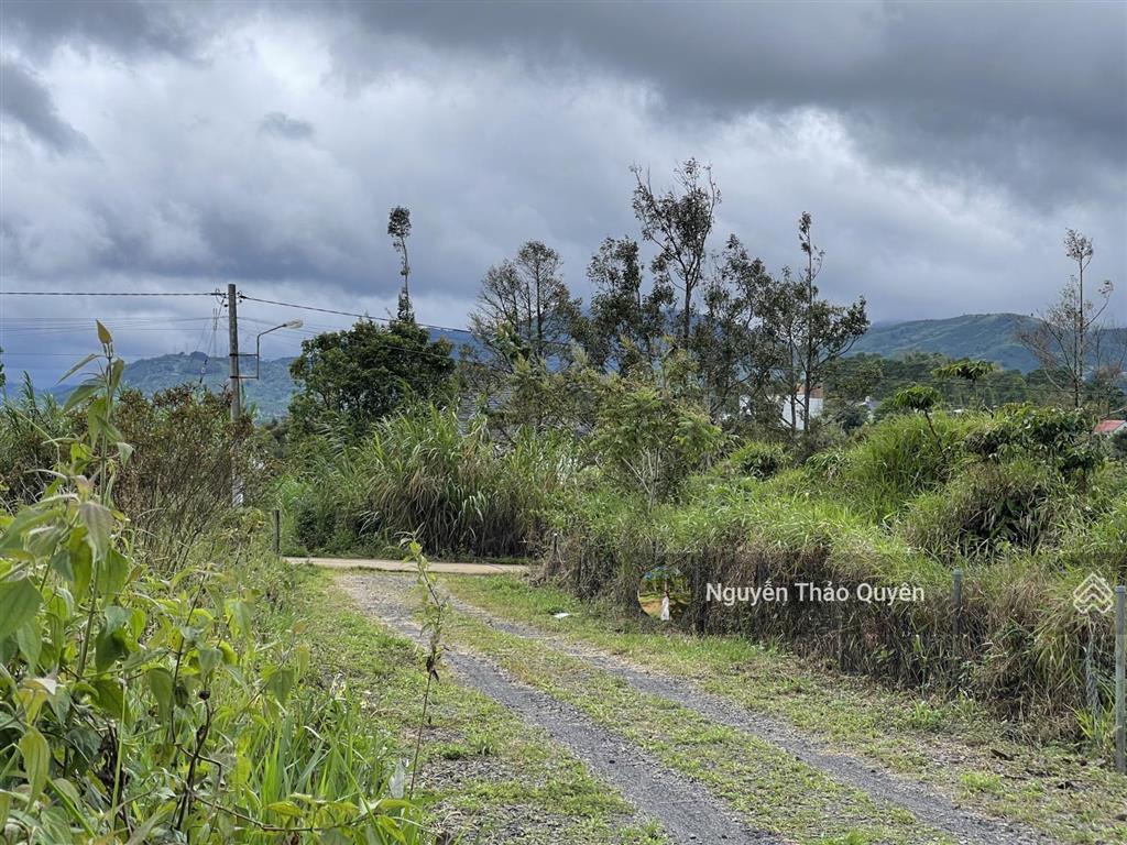 Bán 528m2 sẵn 200m2 thổ cư đất khu phân lô bàn cờ lê thị riêng  phường 3  bảo lộc