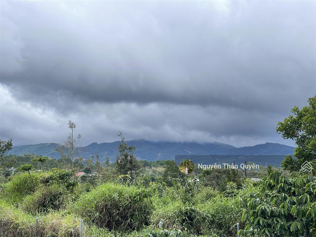 Bán 528m2 sẵn 200m2 thổ cư đất khu phân lô bàn cờ lê thị riêng  phường 3  bảo lộc