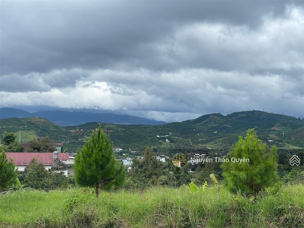 Bán 528m2 sẵn 200m2 thổ cư đất khu phân lô bàn cờ lê thị riêng  phường 3  bảo lộc