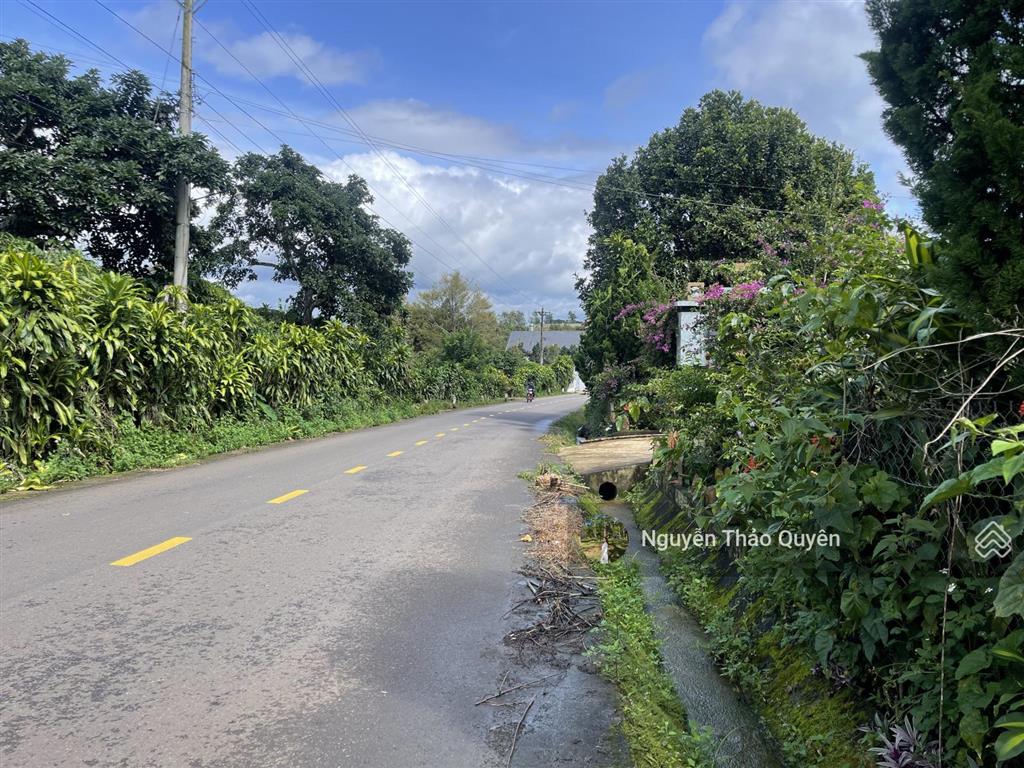 Bán 1196m2 đất mặt tiền tứ quý  lộc an  sẵn 179m2 đất thổ cư  đường 12m