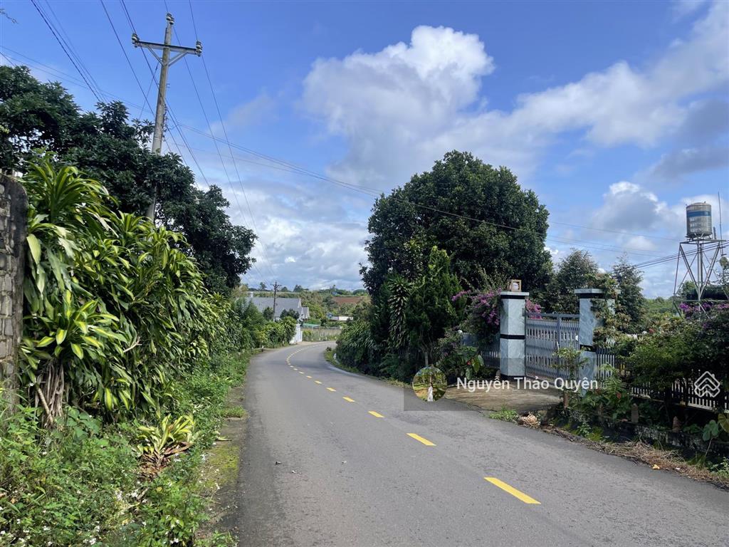 Bán 1196m2 đất mặt tiền tứ quý  lộc an  sẵn 179m2 đất thổ cư  đường 12m