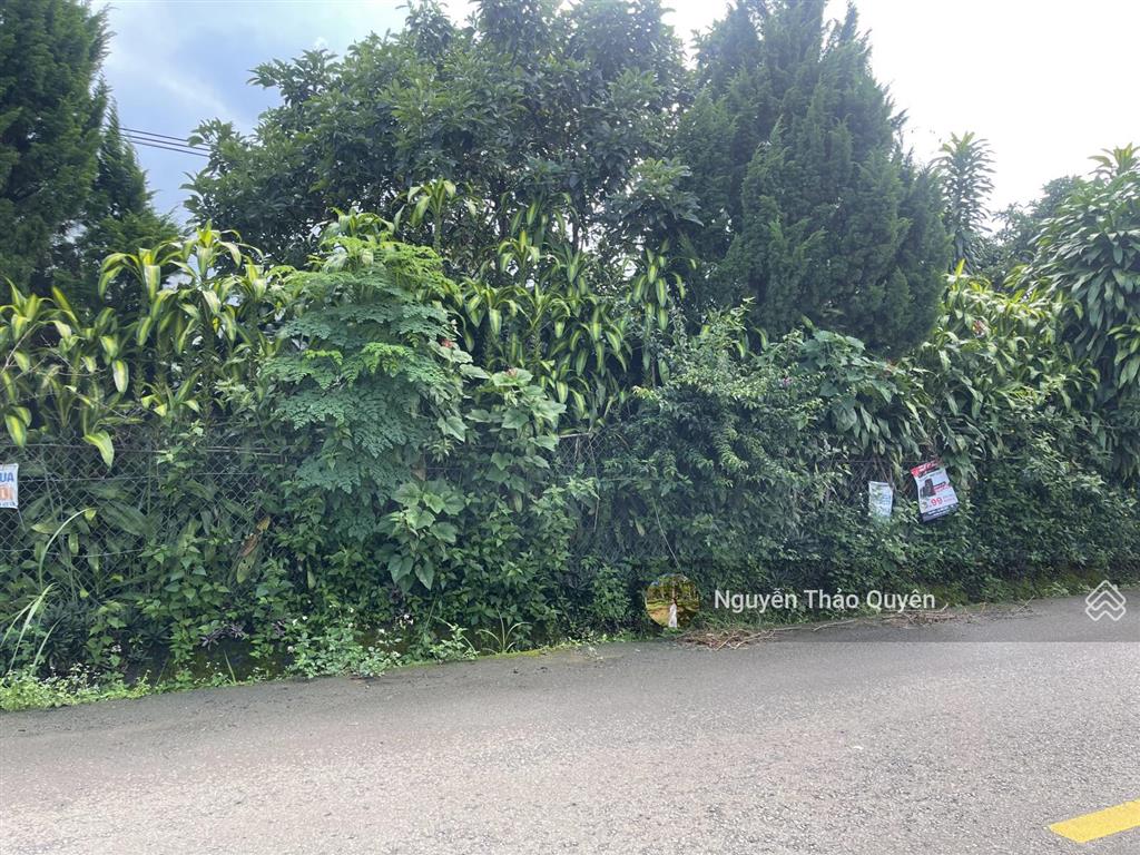 Bán 1196m2 đất mặt tiền tứ quý  lộc an  sẵn 179m2 đất thổ cư  đường 12m