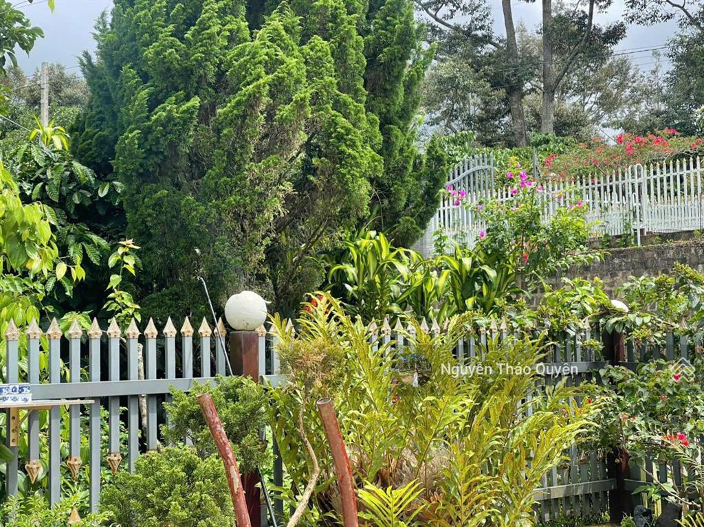 Bán 1196m2 đất mặt tiền tứ quý  lộc an  sẵn 179m2 đất thổ cư  đường 12m