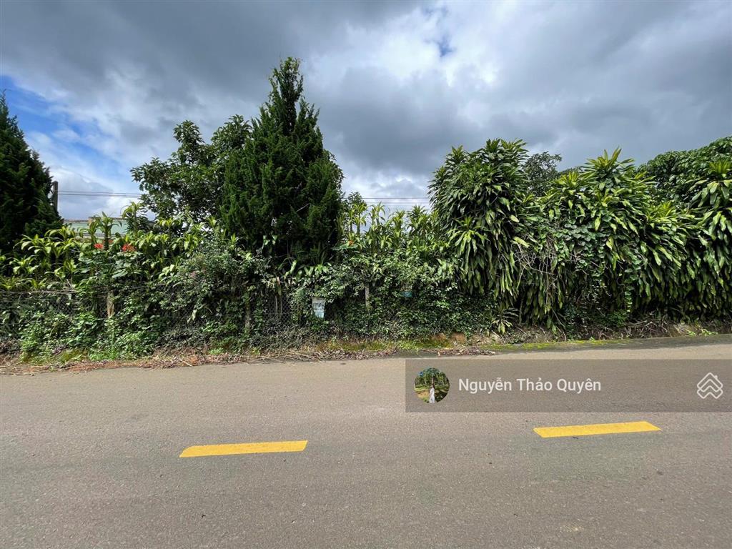 Bán 1196m2 đất mặt tiền tứ quý  lộc an  sẵn 179m2 đất thổ cư  đường 12m