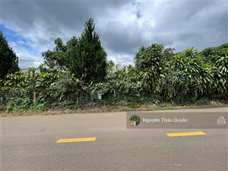 Bán 1196m2 đất mặt tiền tứ quý  lộc an  sẵn 179m2 đất thổ cư  đường 12m